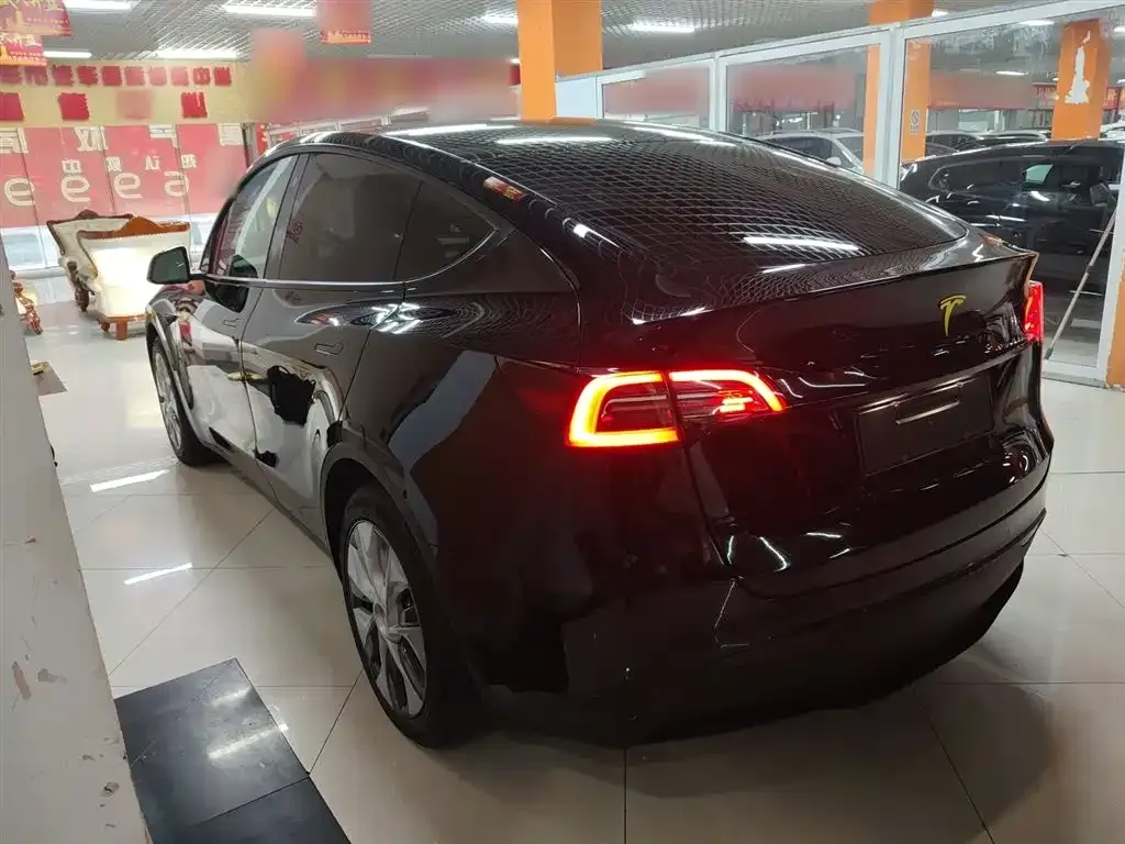 Tesla Model Y 2021 из CN, фото 5