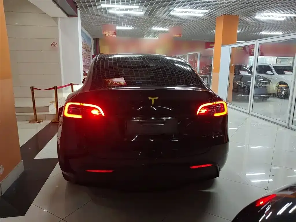 Tesla Model Y 2021 из CN, фото 6