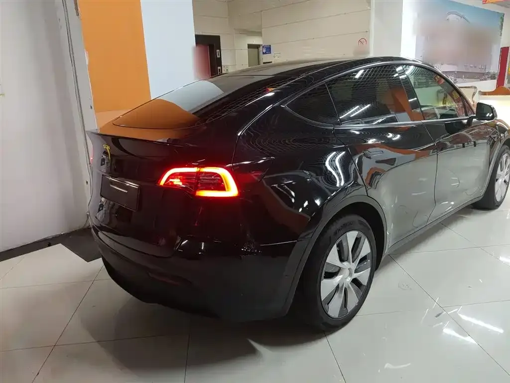 Tesla Model Y 2021 из CN, фото 7