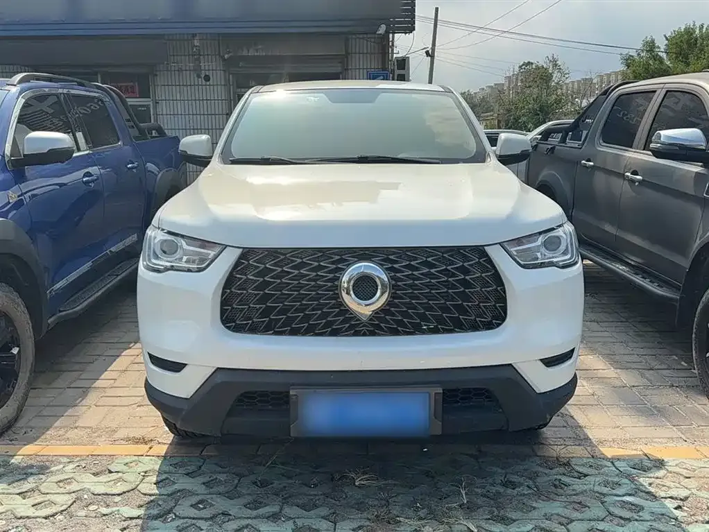Great Wall Pao 2021 из CN, фото 7