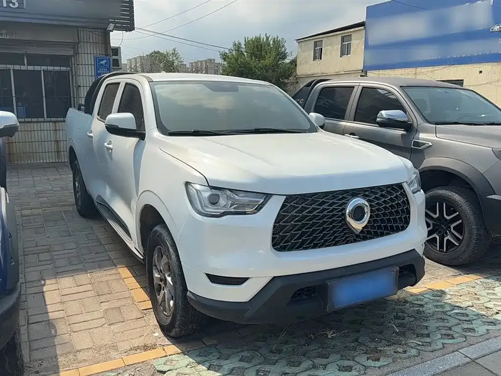 Great Wall Pao 2021 из CN, фото 8