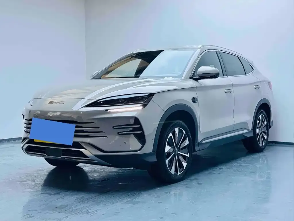 BYD PLUS New Energy — фото 1