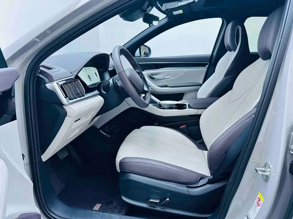 BYD PLUS New Energy — фото 6