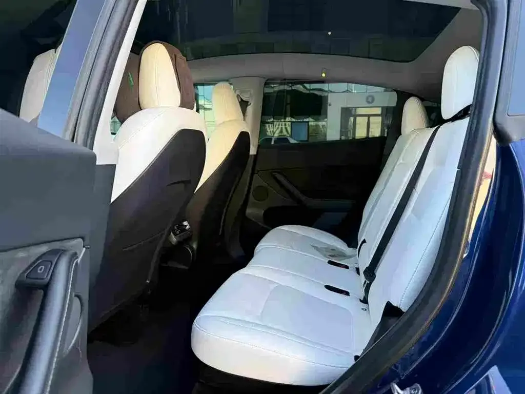 Tesla Model Y 2023 из CN, фото 5