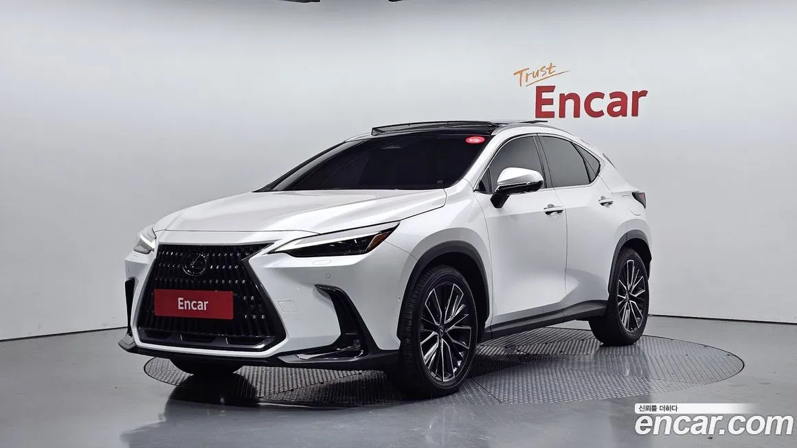 Lexus NX 2025 из KR, фото 1
