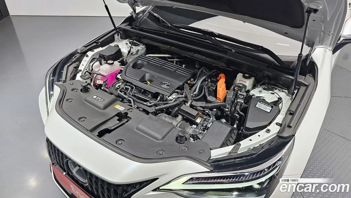 Lexus NX 2025 из KR, фото 6