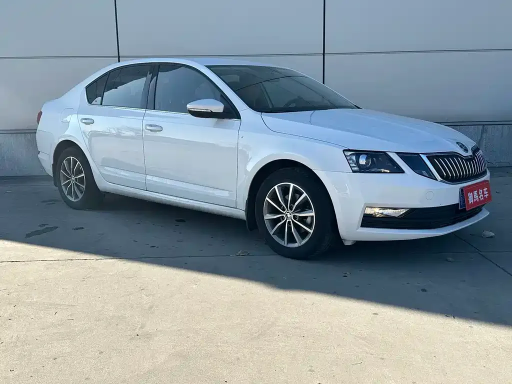 Skoda Octavia 2021 из CN, фото 3