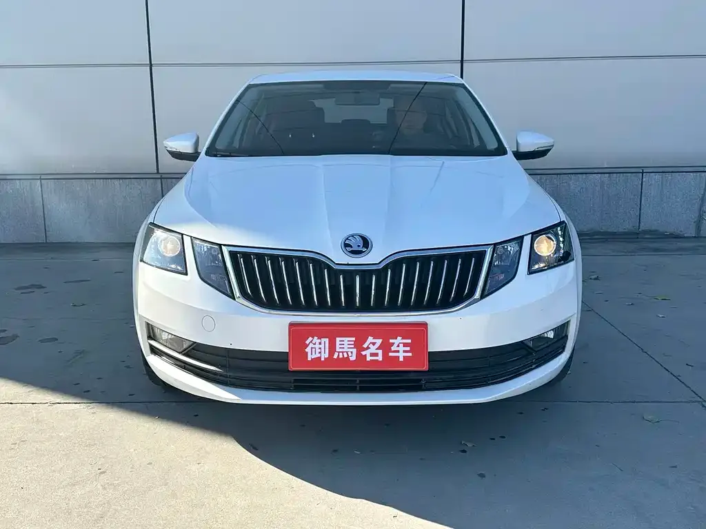 Skoda Octavia 2021 из CN, фото 4