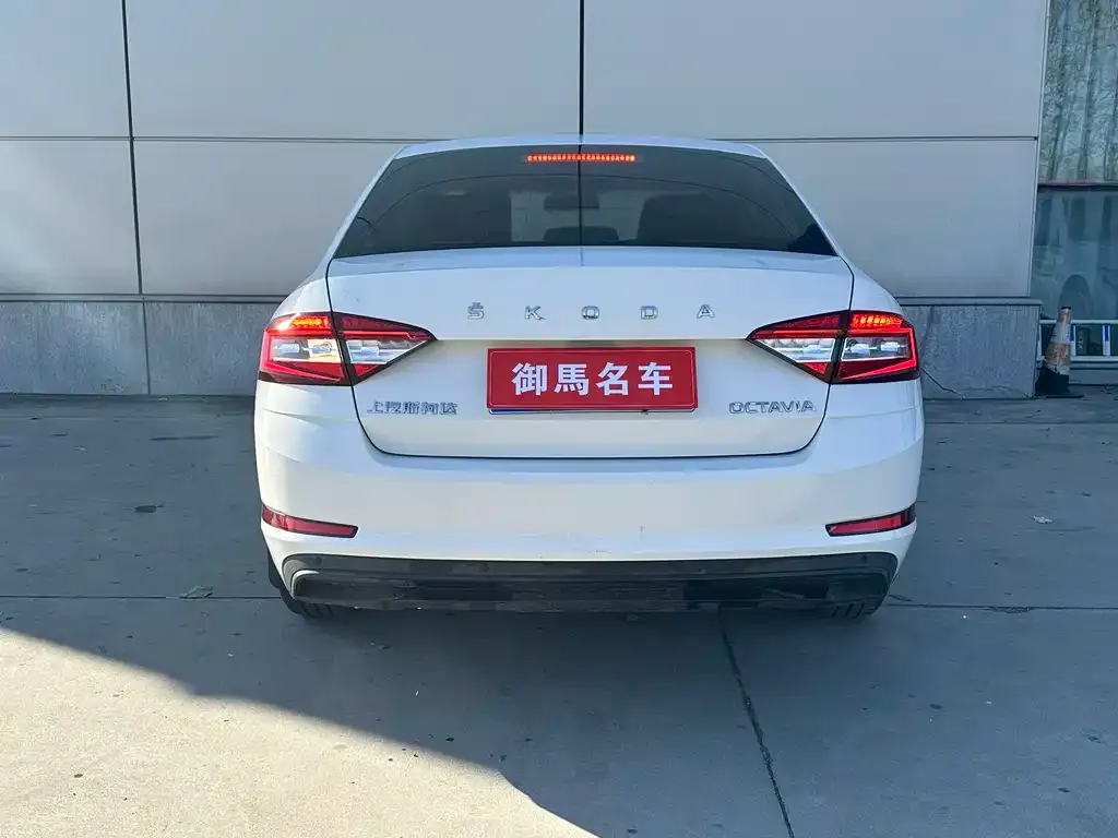 Skoda Octavia 2021 из CN, фото 5