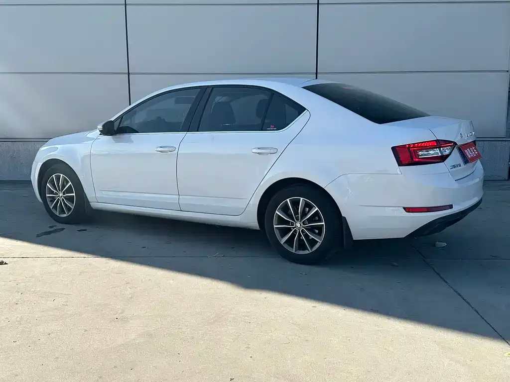 Skoda Octavia 2021 из CN, фото 6