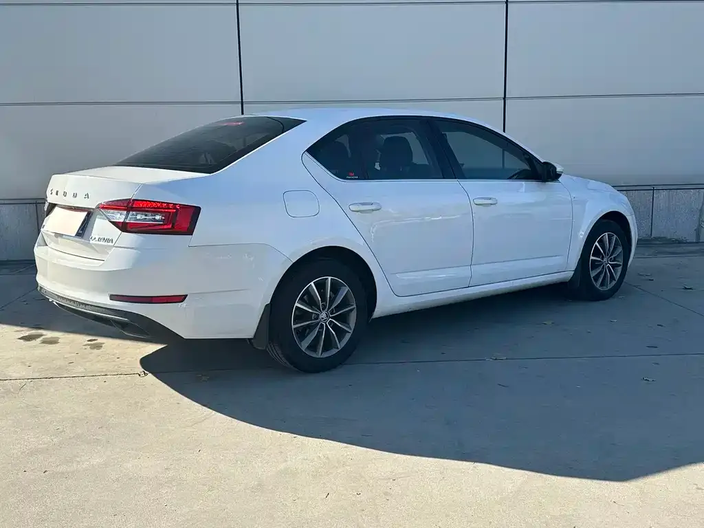 Skoda Octavia 2021 из CN, фото 8