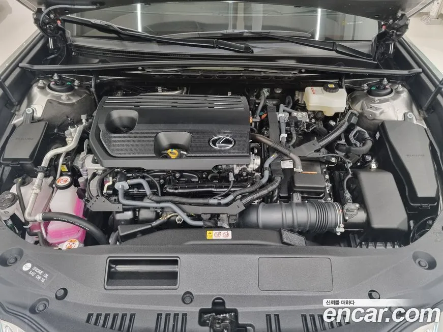 Lexus ES 2025 из KR, фото 6