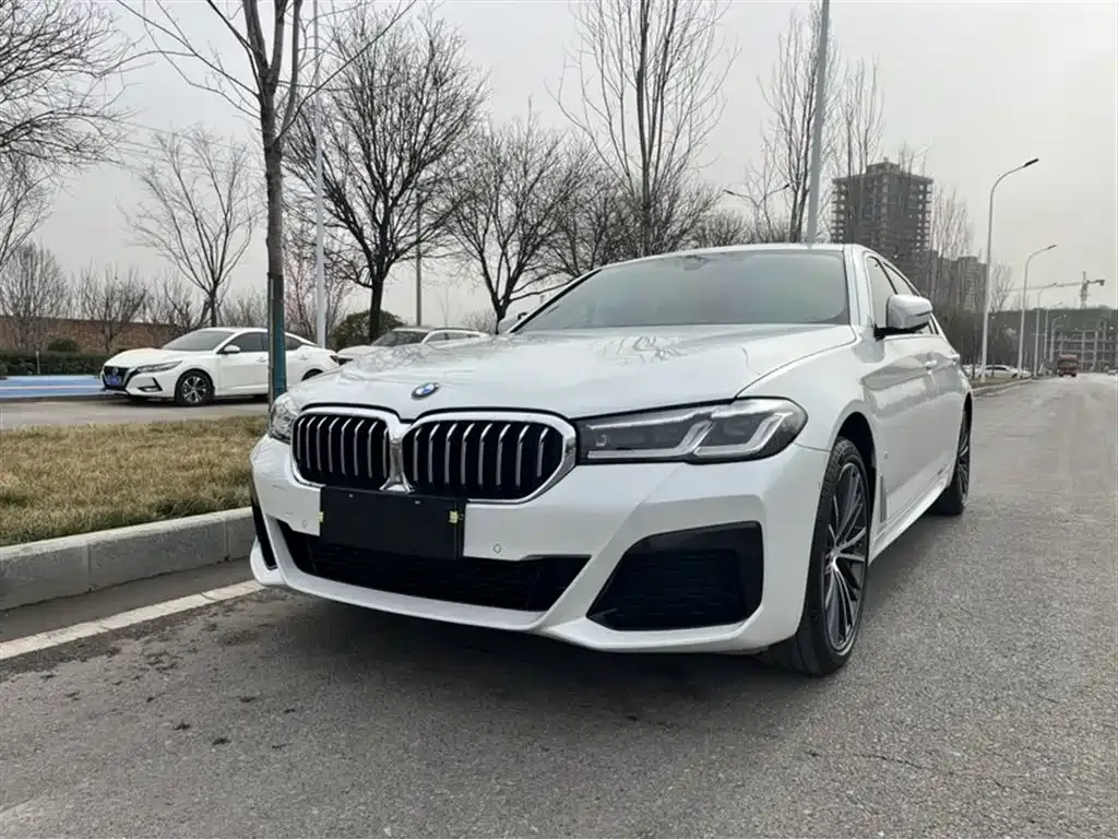BMW 5 Series 2023 из CN, фото 1
