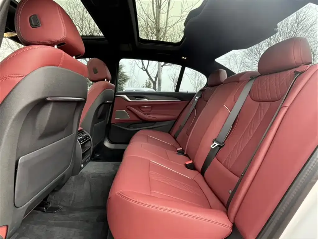 BMW 5 Series 2023 из CN, фото 10