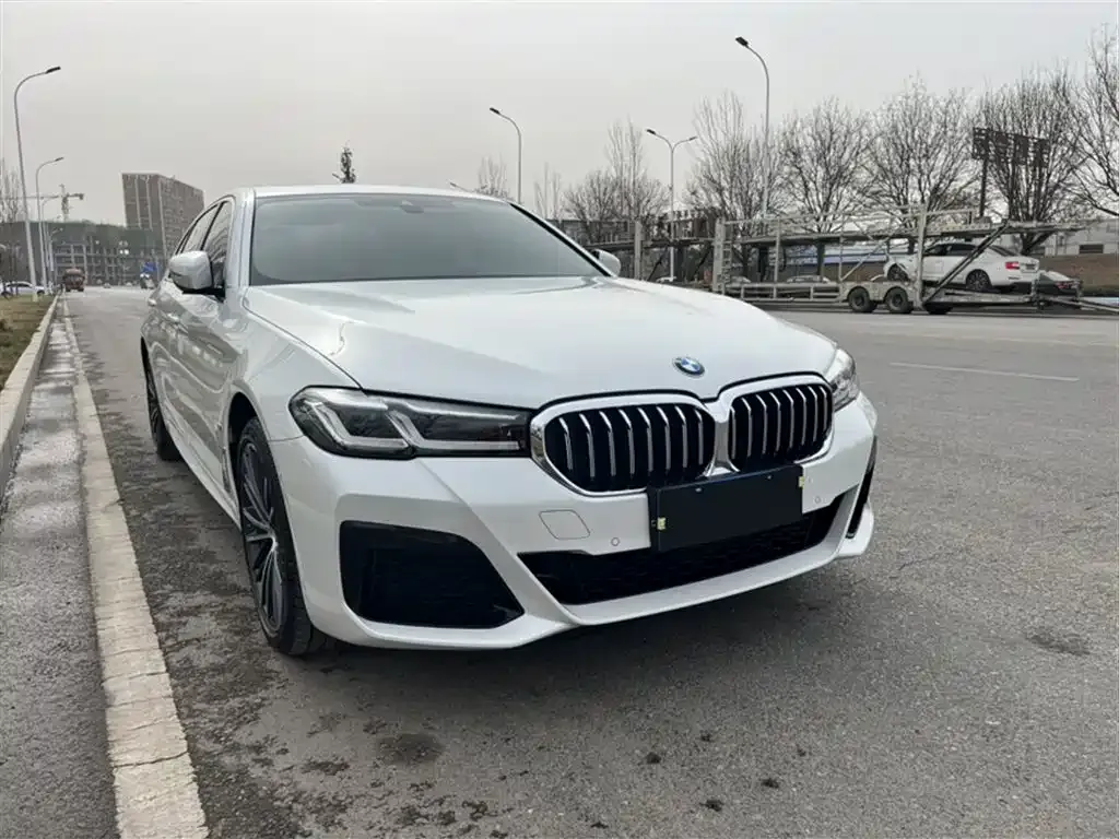 BMW 5 Series 2023 из CN, фото 3