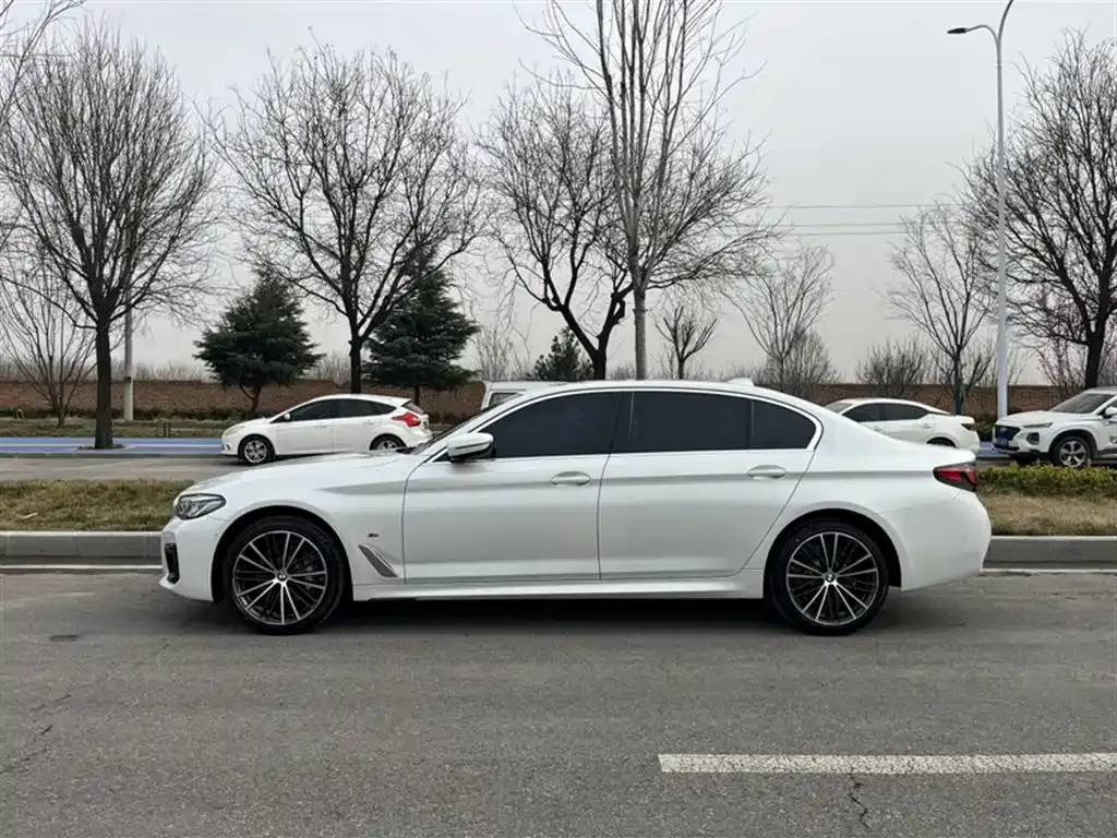 BMW 5 Series 2023 из CN, фото 4