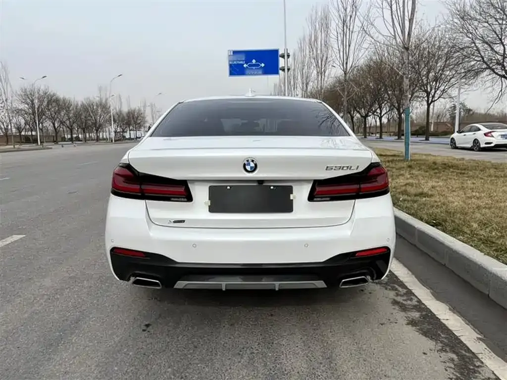 BMW 5 Series 2023 из CN, фото 5