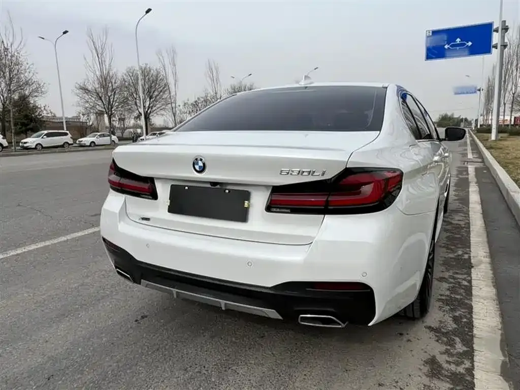 BMW 5 Series 2023 из CN, фото 6