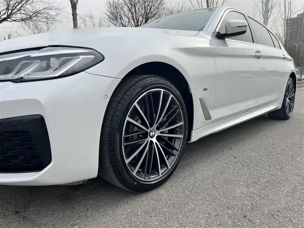 BMW 5 Series 2023 из CN, фото 7