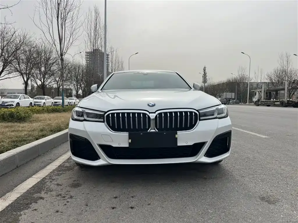BMW 5 Series 2023 из CN, фото 8