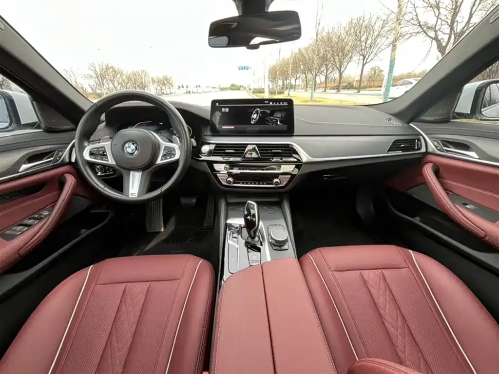 BMW 5 Series 2023 из CN, фото 9