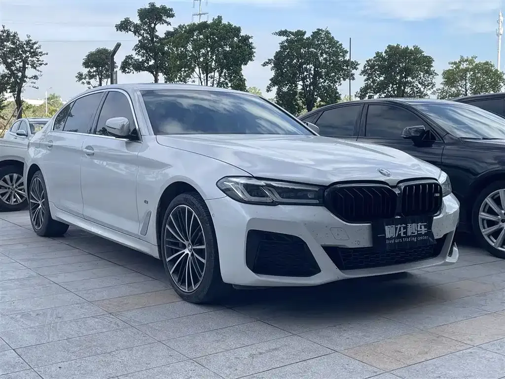 BMW 5 Series 2023 из CN, фото 3