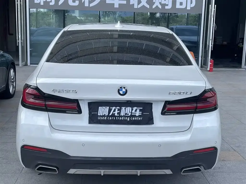 BMW 5 Series 2023 из CN, фото 4