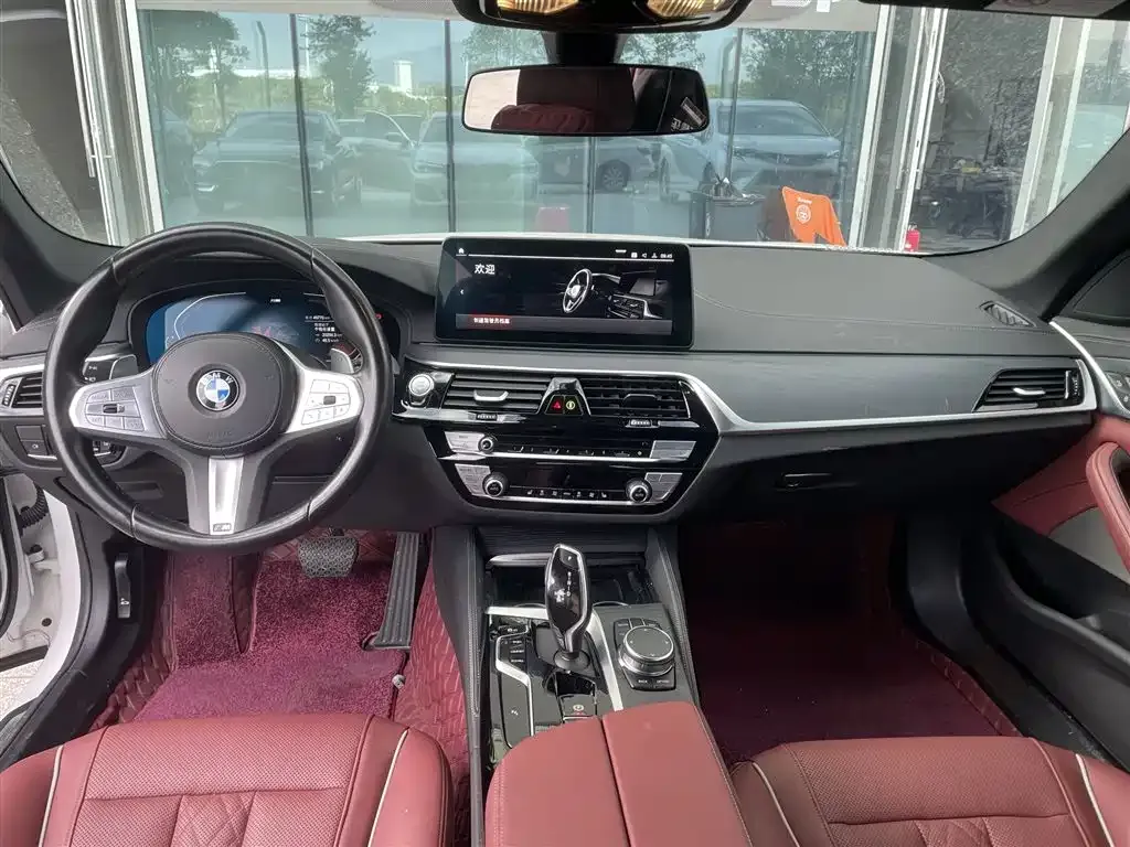 BMW 5 Series 2023 из CN, фото 9