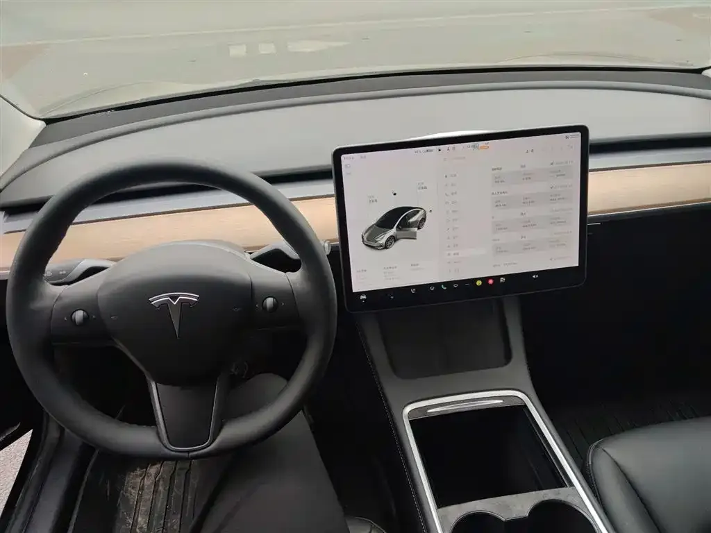 Tesla Model 3 2021 из CN, фото 10