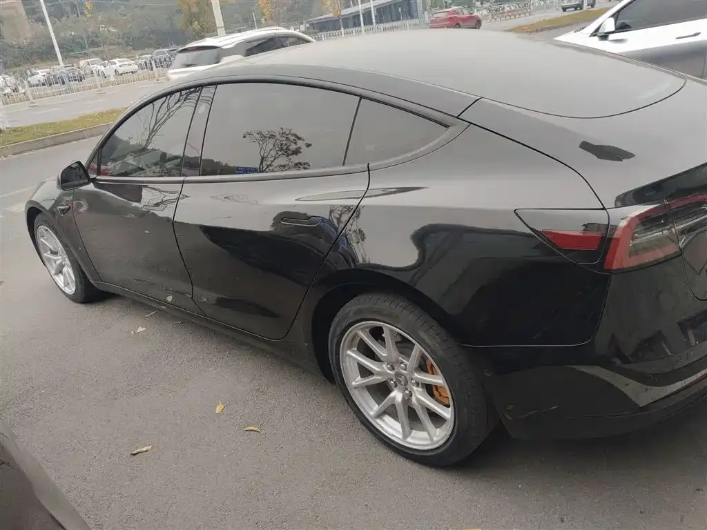 Tesla Model 3 2021 из CN, фото 5