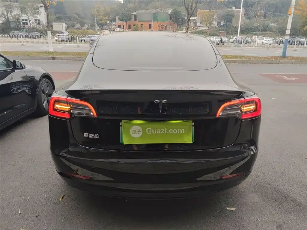 Tesla Model 3 2021 из CN, фото 6