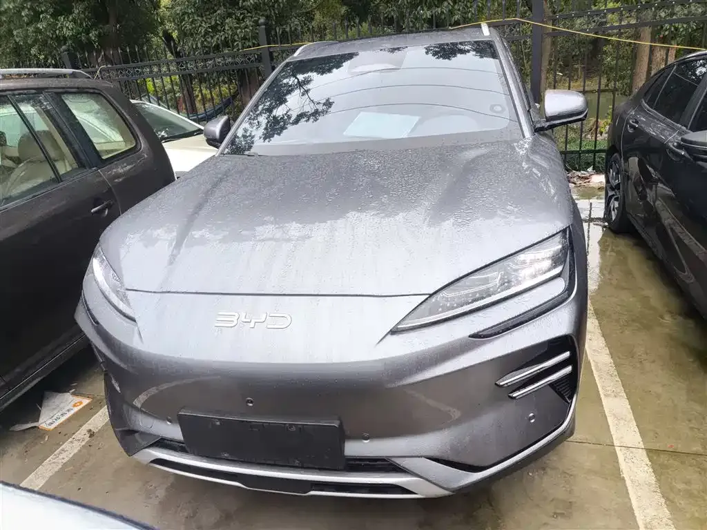 BYD PLUS New Energy 2025 из CN, фото 3