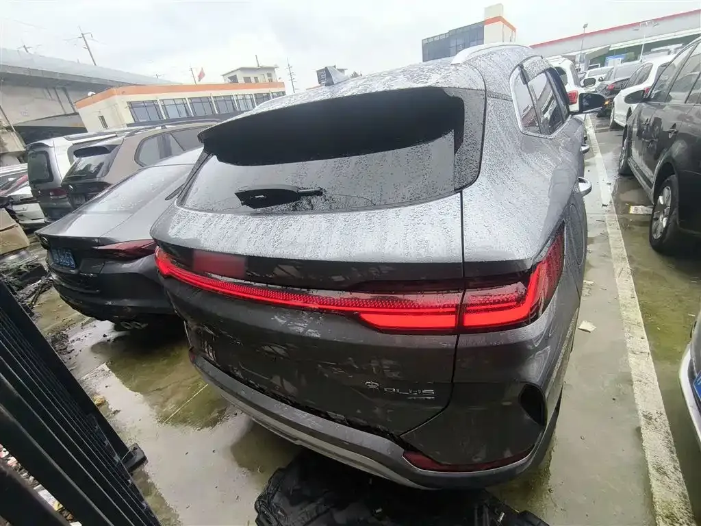 BYD PLUS New Energy 2025 из CN, фото 6