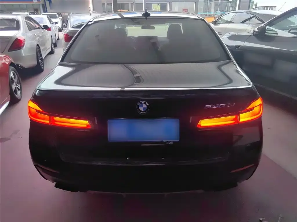 BMW 5 Series 2022 из CN, фото 6