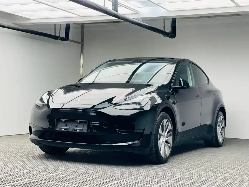 Tesla Model Y 2023 из CN, фото 1
