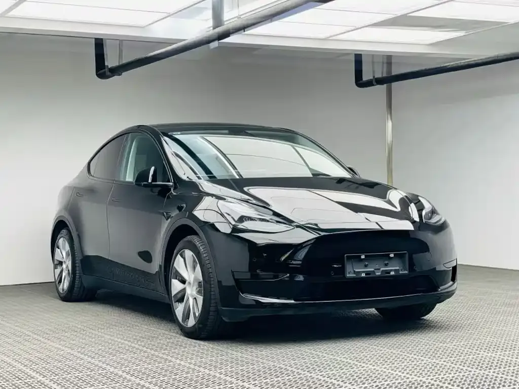 Tesla Model Y 2023 из CN, фото 2