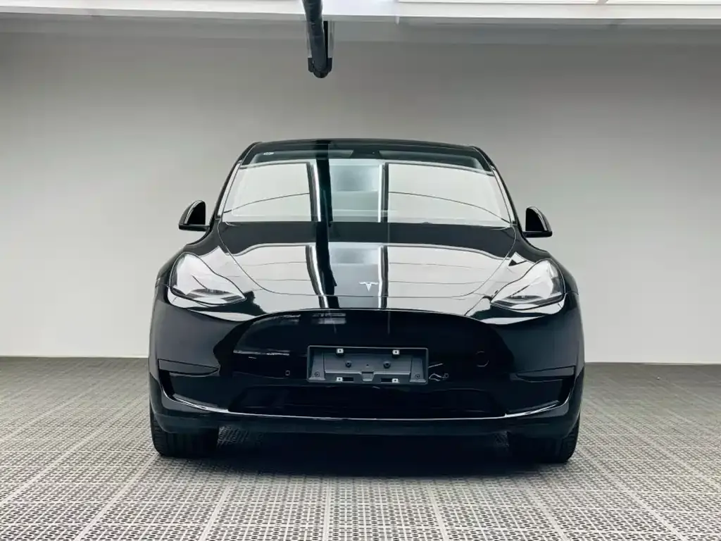 Tesla Model Y 2023 из CN, фото 3