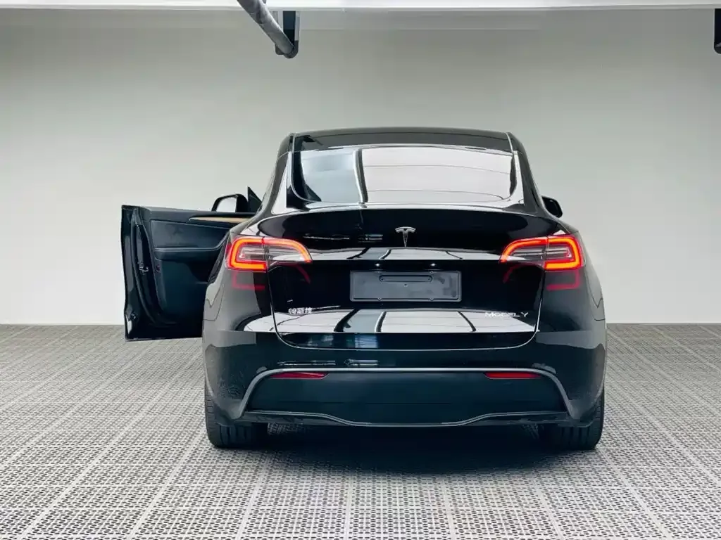 Tesla Model Y 2023 из CN, фото 9