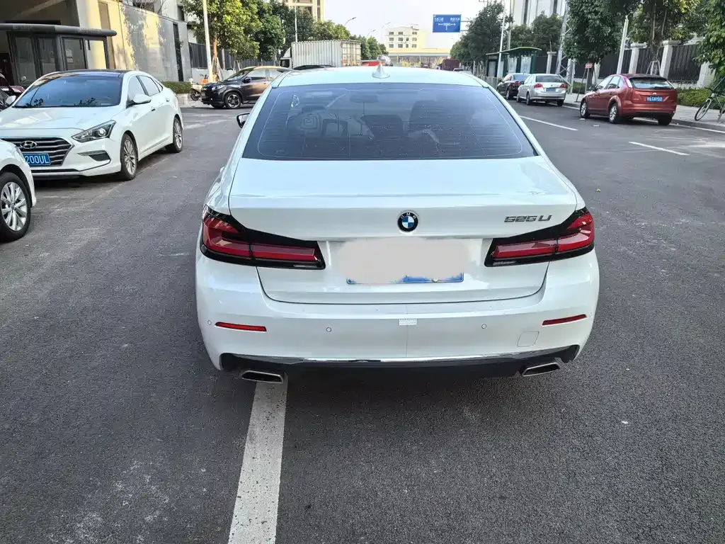 BMW 5 Series 2021 из CN, фото 7