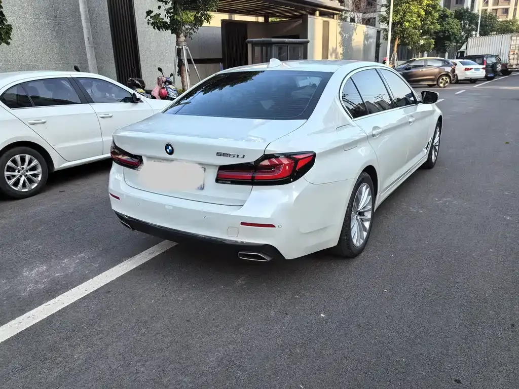 BMW 5 Series 2021 из CN, фото 8