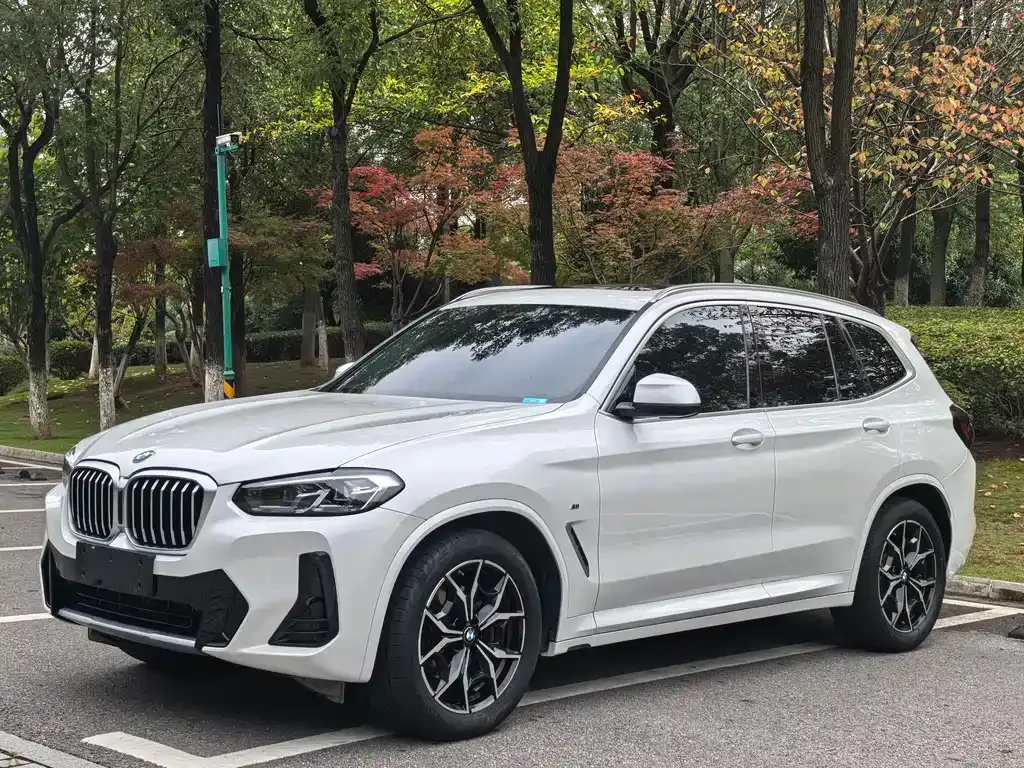 BMW X3 2022 из CN, фото 1