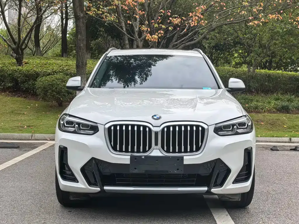 BMW X3 2022 из CN, фото 2
