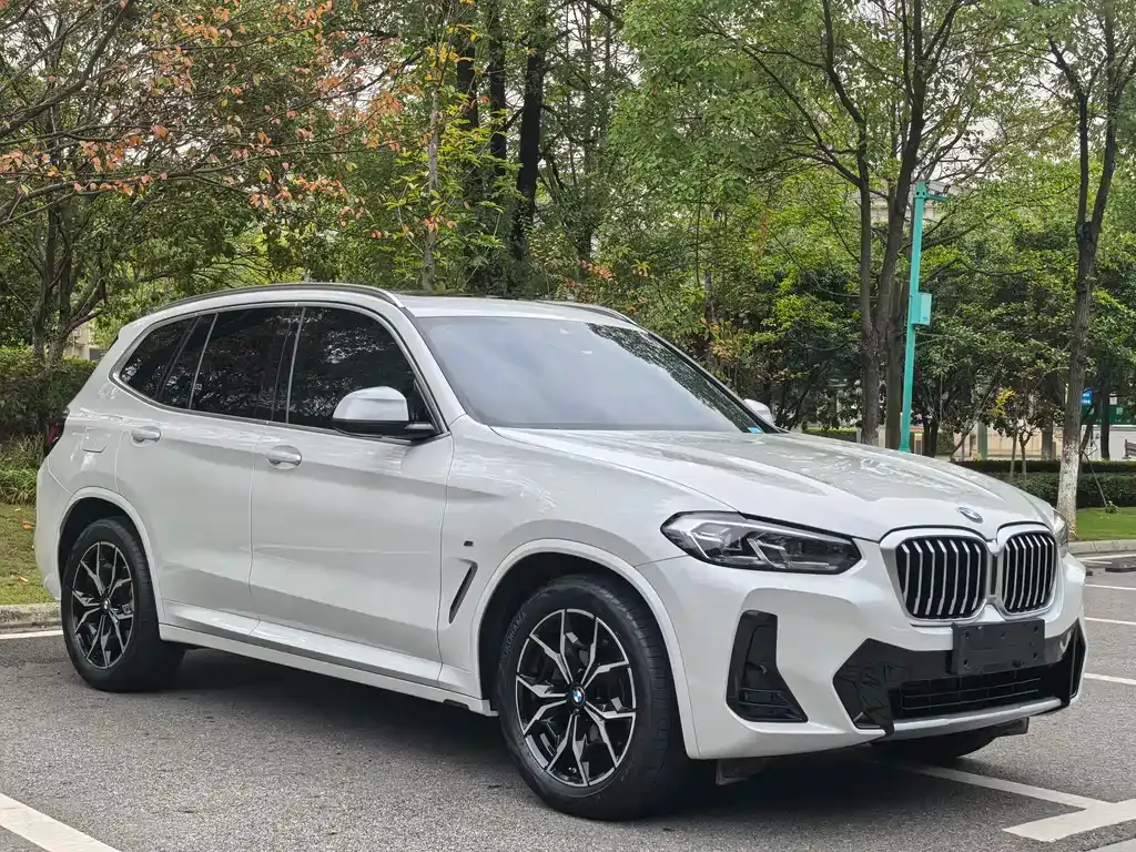 BMW X3 2022 из CN, фото 3