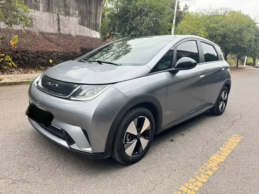 BYD Dolphin 2023 из CN, фото 1