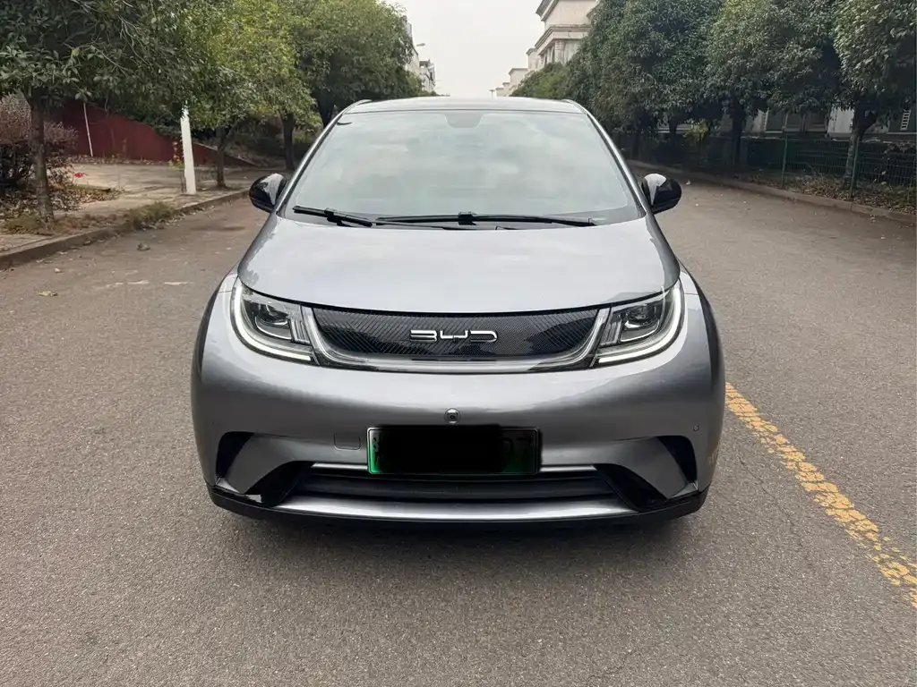 BYD Dolphin 2023 из CN, фото 2