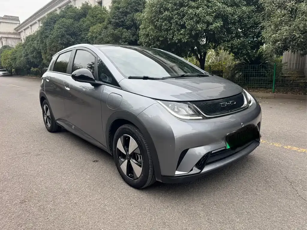 BYD Dolphin 2023 из CN, фото 3