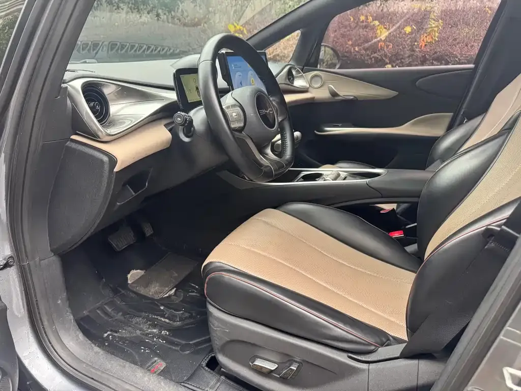 BYD Dolphin 2023 из CN, фото 4