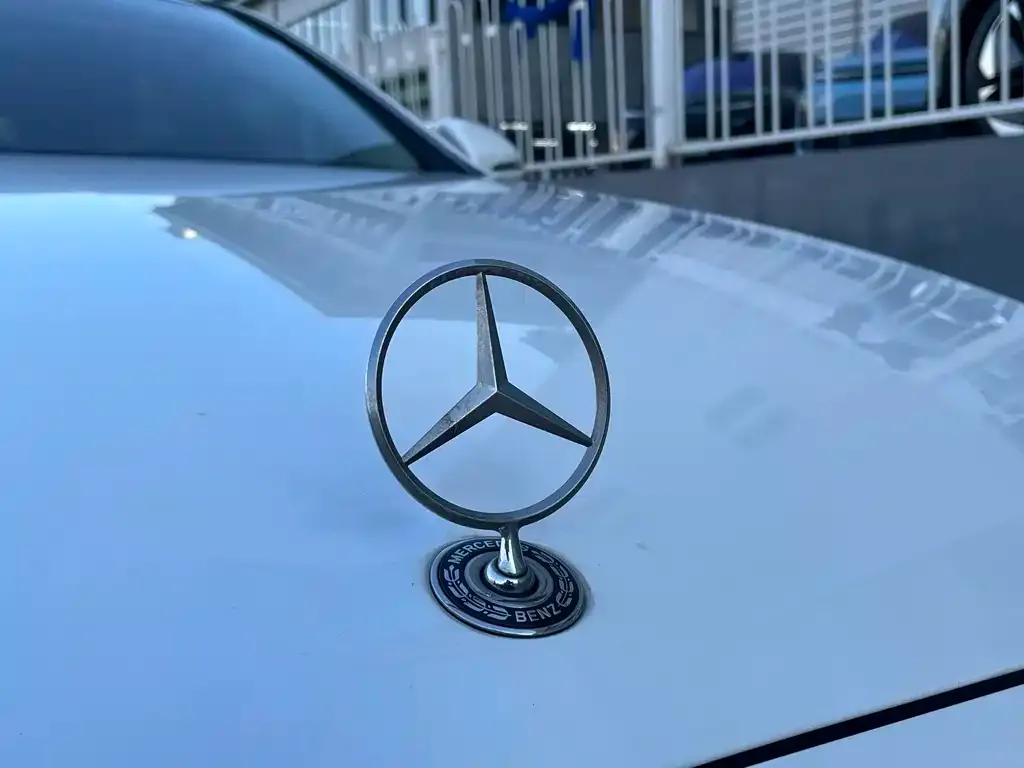 Mercedes-Benz E-Class New Energy 2021 из CN, фото 8