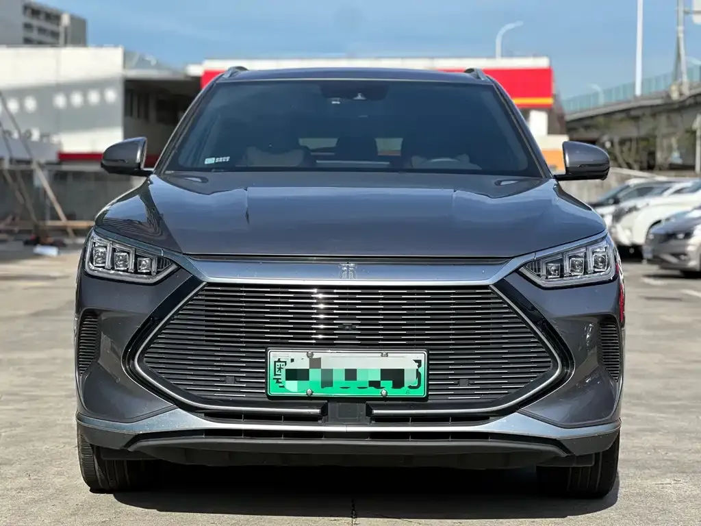 BYD PLUS New Energy 2021 из CN, фото 2