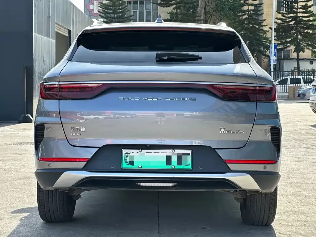 BYD PLUS New Energy 2021 из CN, фото 6